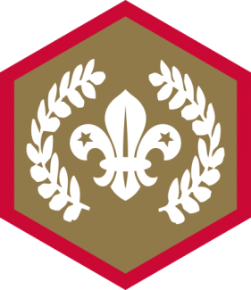 Chief Scout's Gold Award