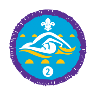 Swimmer stage 2 Swimmer stage 2